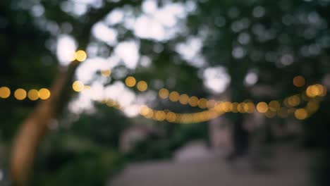 Hochzeit-Glühbirnen-Dekoration-Kamera-Bewegen-Und-Fokussieren