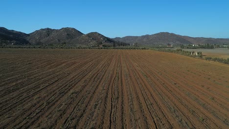Luftaufnahme-Von-Weinbergen-Und-Feldern-Im-Valle-De-Guadalupe
