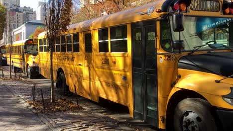 Autobuses-Escolares-Amarillos-Estacionados-Junto-A-La-Carretera