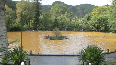 The-Thermal-Water-Pool-of-Terra-Nostra-Park-at-Furnas-on-the-Sao-Miguel-island