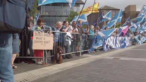 A-English-Springer-Spaniel-enjoys-the-protest-at-the-Perth-Concert-Hall