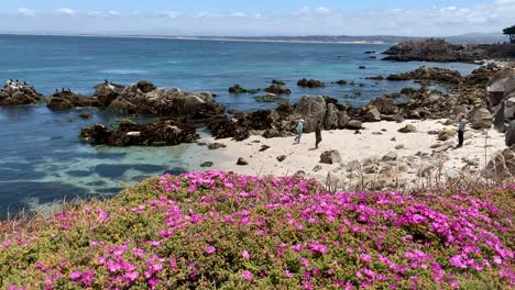 Beautiful-coastal-landscape-scenery-along-the-rocky-shorelines-of-Pacific-Grove,-in-Monterey-County,-California