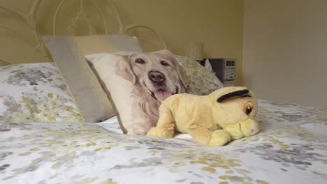 Cuddly-Toy-and-Dog-Pillow-on-top-of-a-Bed