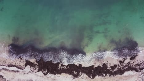 Shallow-waves-breaking-onto-seaweed-filled-beach
