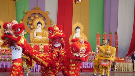Löwentanz-Buddha-Geburtstagsfest,-Brisbane-2018-Löwentanzshow-Beim-Chinesischen-Neujahrsfest