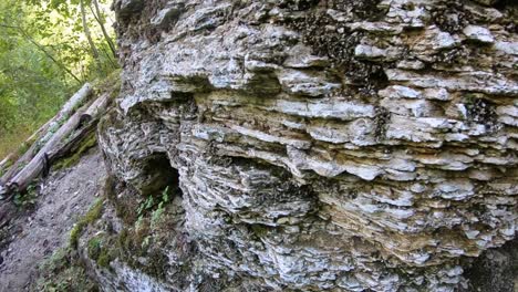 Cliffs-in-the-forest,-Priekuli-county