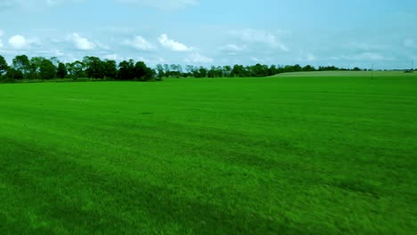 Aerial-footage-over-grass-field,-green-lawn-and-blue-sky,-natural-landscape-on-village,-cinematic-image-shot-by-drone