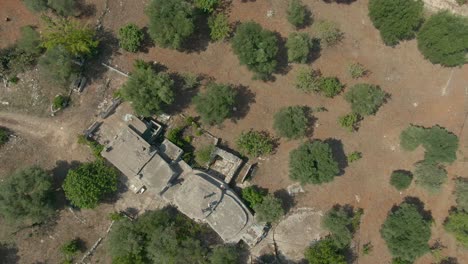 Vista-Aérea-De-Drones-De-Un-Jardín-De-Olivos-En-Carovigno,-Una-Región-En-Apulia-Nort-Italy,-Granja-De-Olivos-Con-Vista-De-Pájaro-En-Un-Edificio-Antiguo