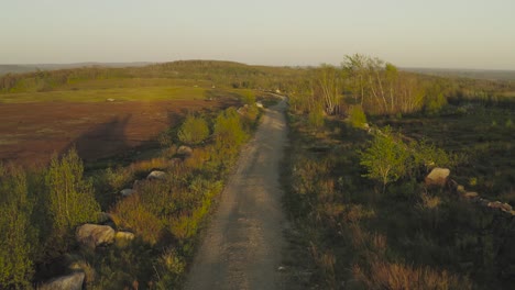 Old-country-lane-with-lush-green-vegetation-aerial-sunset