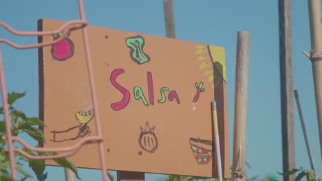 Fun-Homemade-Salsa-Garden-Sign-by-Children