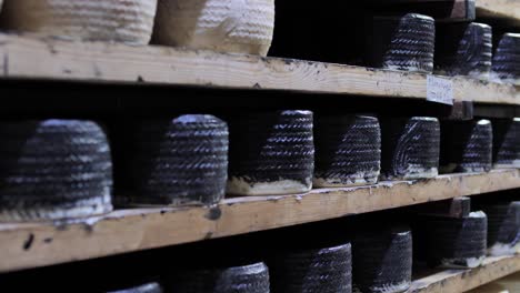 Cellar,-storage-room,-black-hard-cheese-wheels-maturing-on-shelves-close-up