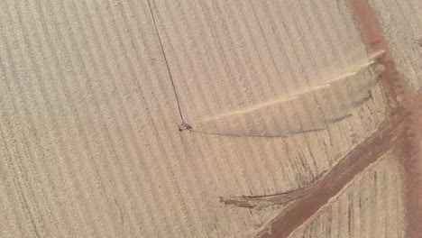 aerial-view-of-sugar-cane-bagasse-deposit,-used-to-fertilize-the-field-and-plantation