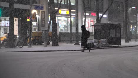 Anonymous-person-walking-across-road-with-hood-up-in-strong-snow-storm,-Seoul