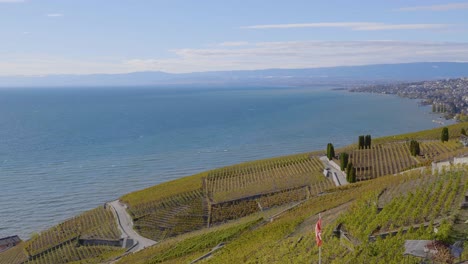 Lavaux-vineyard-on-a-windy-day-with-Swiss-flag-Lake-Léman-in-the-background---Switzerland