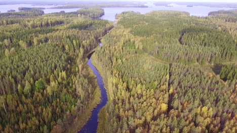 Erstaunliches-Drohnenvideo-Eines-Wunderschönen-Flusses,-Der-Zu-Einem-Großen-See-In-Der-Wildnis-Der-Borealis-Führt