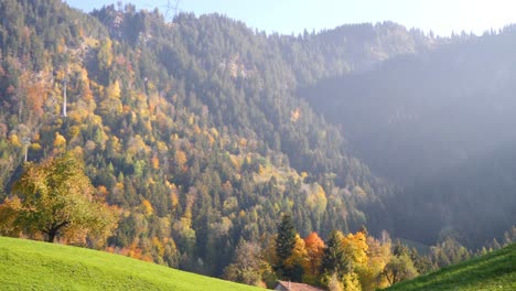 Hermoso-Bosque-De-Montaña-Naranja-Mientras-Cae-En-Suiza