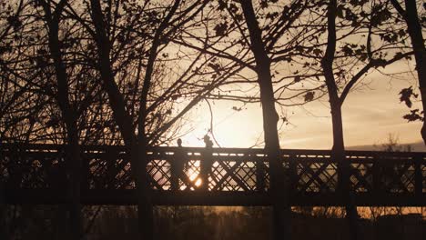 Silhouetted-people-enjoying-and-evening-walk-in-the-park-at-sunset