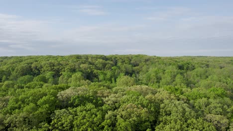 Green-Tree-Tops-In-Forest-Under-Blue-Cloudy-Sky-Aerial