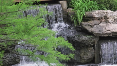 Statische-Nahaufnahme-Eines-Kleinen-Wasserfalls,-Baum-Mit-Hellgrünen-Blättern-Im-Vordergrund