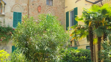 A-Lovely-Courtyard-Garden-Of-Casa-Bagioli-With-Variety-Of-Ornamental-Plants-In-Cesena,-Northern-Italy