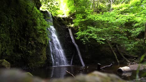 Cascading-waterfall-deep-in-lush-green-English-forest