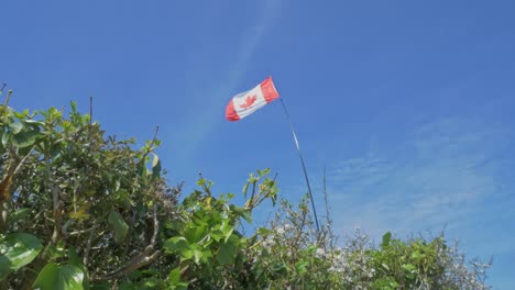 wide-shot-of-Canadian-flag-blowing-in-wind-against-blue-sky
