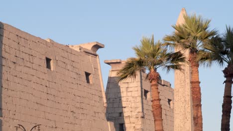 View-of-the-walls-and-palm-trees-at-the-entrance-to-the-ancient-Luxor-Temple,-Egypt
