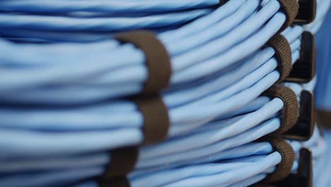 Close-up-of-coils-of-wound-up-blue-network-server-cables