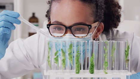 Science,-research-and-plant-growth-test-tube