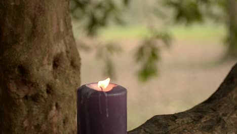Candle-flickers-in-rural-woodland