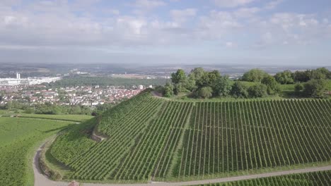 Aerial-flyover-of-a-small-hill,-called-Scheuerberg,-which-slopes-are-used-for-the-cultivation-of-grapes,-located-in-Neckarsulm,-Germany