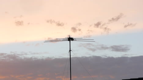 Crow-sitting-on-top-on-a-suburban-house-antenna-at-sunset