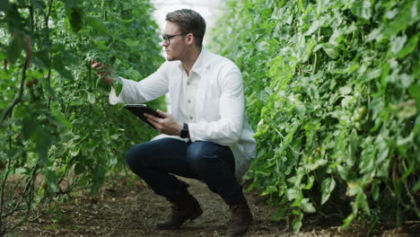 Un-Joven-Agricultor-Usando-Una-Tableta-Digital