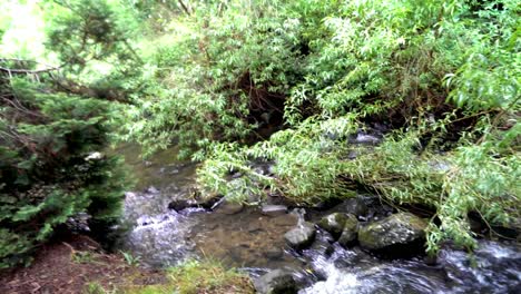 El-Río-Frío-Corre-Rápido-En-La-Selva-Tropical-De-Tasmania