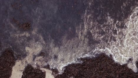 Close-up-of-calm-waves-lapping-onto-a-beach-filled-with-seaweed