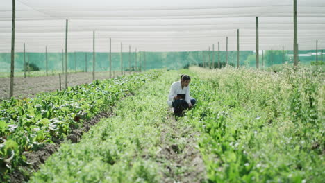 Una-Joven-Agricultora-Inspeccionando-Cultivos-Dentro