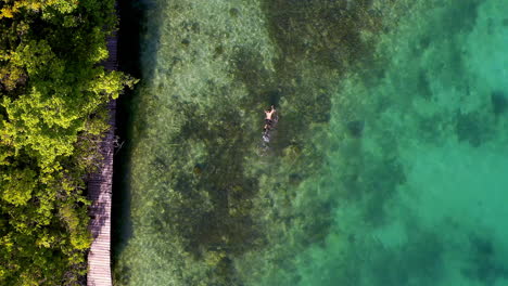 4k-drone-footage-of-a-man-snorkelling