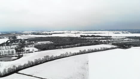 Danish-winter-landscape