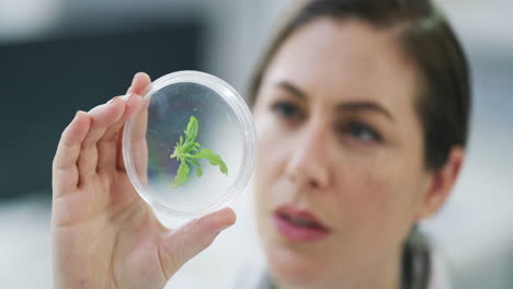 Scientist,-leaf-and-woman-in-a-lab-with-a-sample