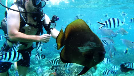 a-scuba-diver-recording-videos-with-his-camera