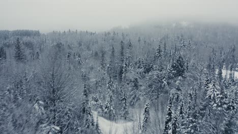 Neblige-Winterlandschaft---Drohnenflug---4k---Berge---Bäume