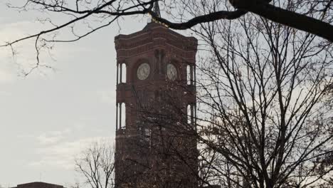 Clock-tower-of-Berlin-Town-Hall-seen-behind-bare-tree-branches,-tilt-down
