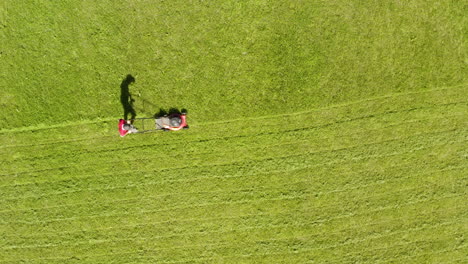 A-gardener-neatly-mowing-grass-on-sunny-day,-static-aerial-shot