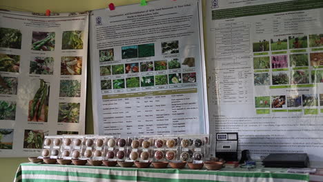 Regional-millets-seeds-exhibition,-India