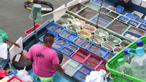 Fischer-Arbeitet-Am-Boot.Hongkong-Fischmarkt