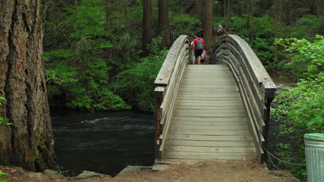 People-walking-on-a-wooden-bridge-over-a-forest-stream-flowing,-near-Burney-Falls,-California