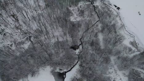 Neuschneebedeckte-Bäume-Aus-Der-Luft-Steigen-In-Richtung-Einer-Stadtlandschaft