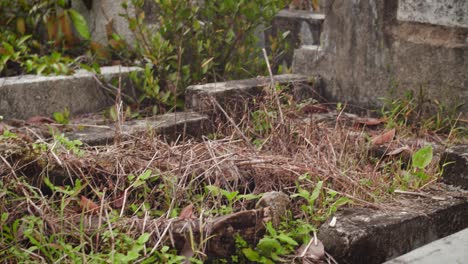 Traditional-Tomb-With-Dry-Grass-And-Wooden-Logs-On-Foreground-In-Christian-Public-Cemetery-Gajah-Mada-Ujung-In-Medan,-Indonesia