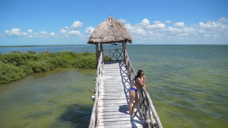 Einspielaufnahme,-Eine-Frau-Im-Bikini-Steht-Auf-Dem-Holzturm-In-Baja-Sur,-Mexiko,-Mangroven-Und-Blauer-Himmel-Im-Hintergrund