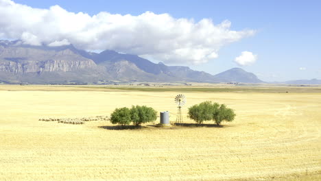 Some-of-the-best-crops-are-grown-in-dry-climates